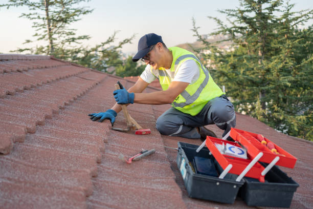 Best Roof Gutter Cleaning  in Wharton, NJ